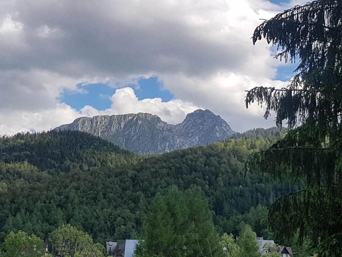 Apartamenty Giewont The Best 扎科帕内 波兰