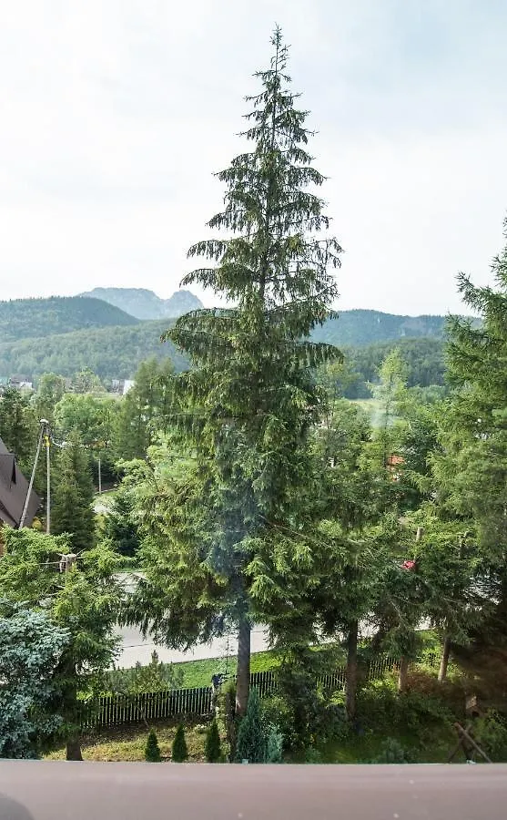 公寓 Apartamenty Giewont The Best 扎科帕内 波兰