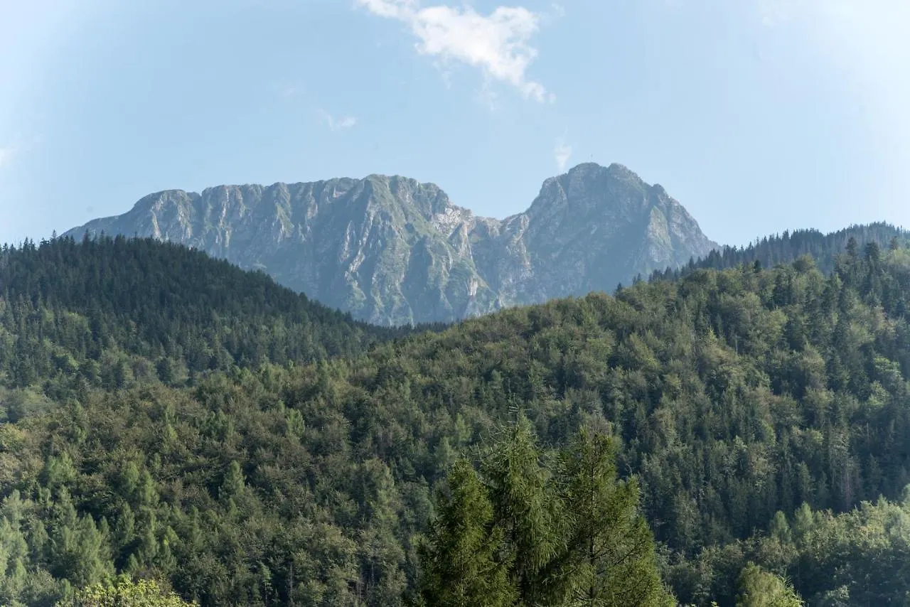 公寓 Apartamenty Giewont The Best 扎科帕内