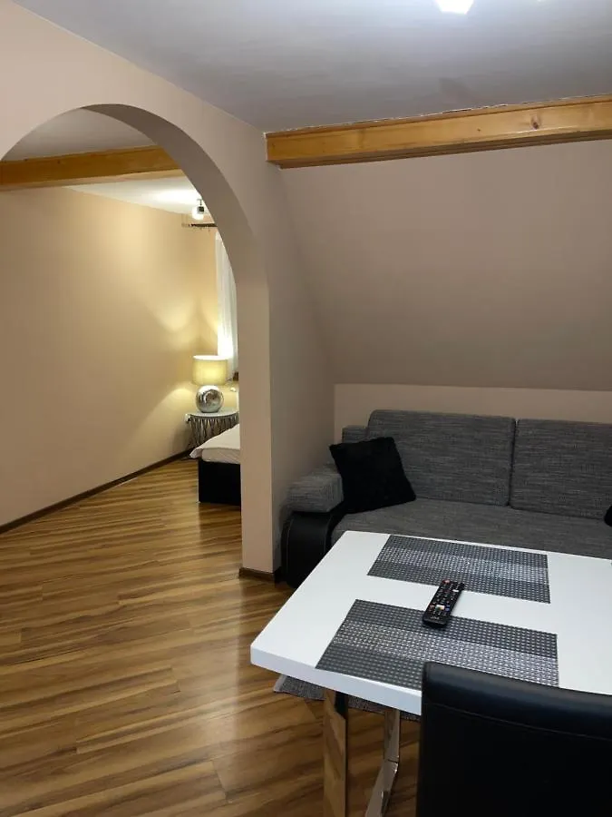 Apartamenty Giewont The Best 扎科帕内 公寓